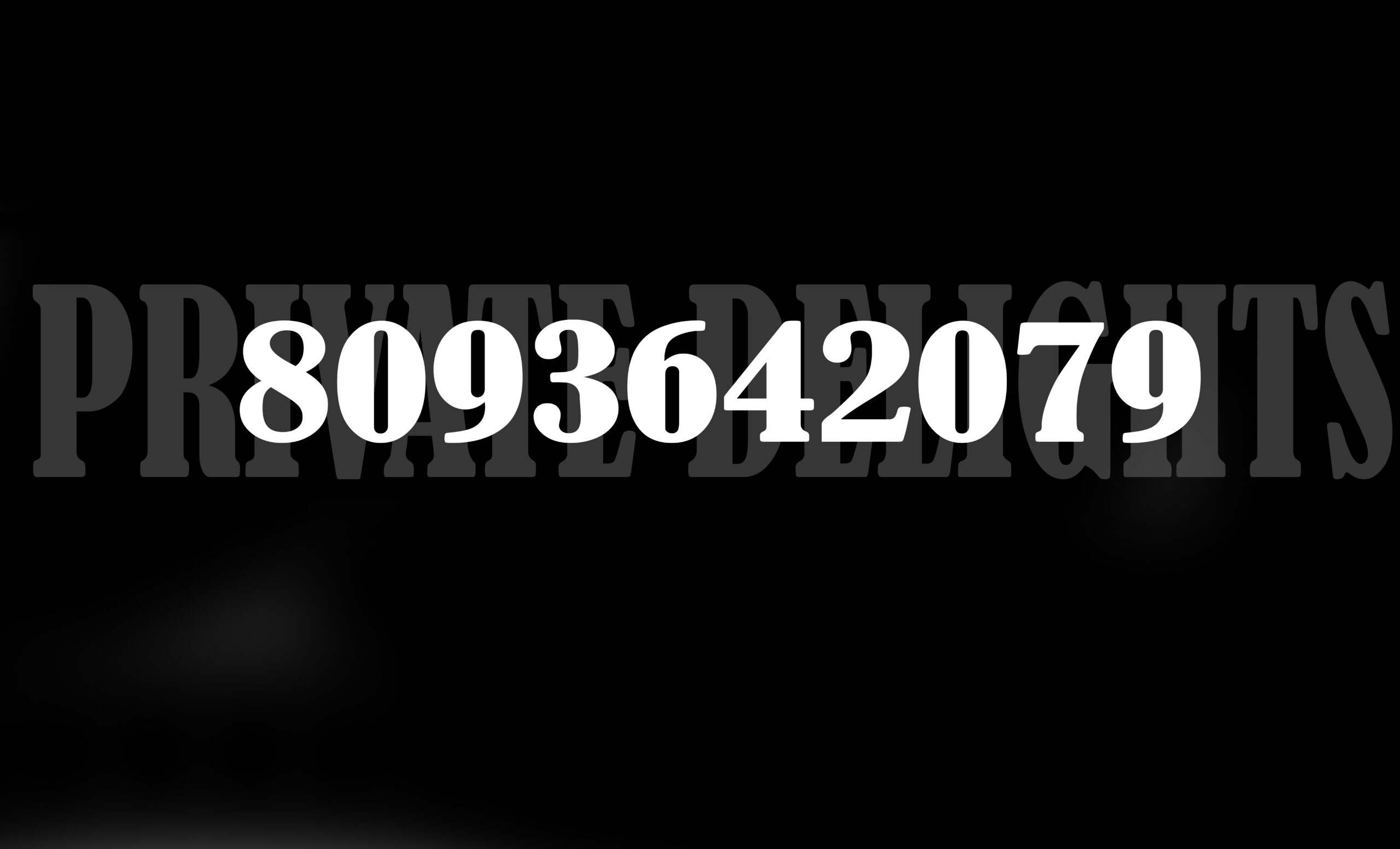 8093642079