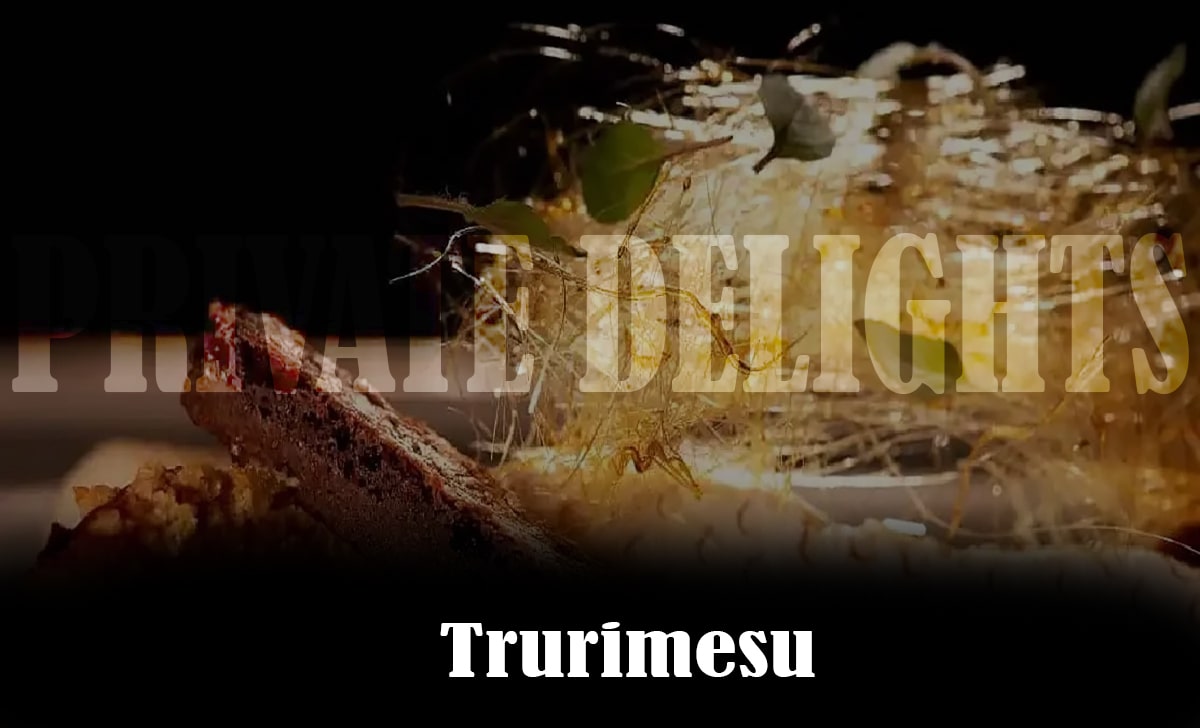 trurimesu